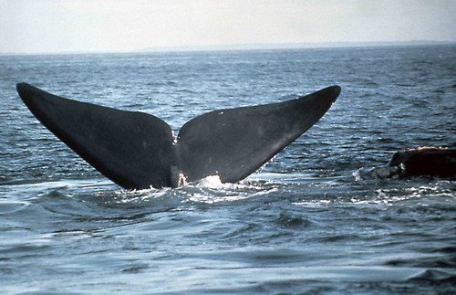 image nrw_skraus1-jpg