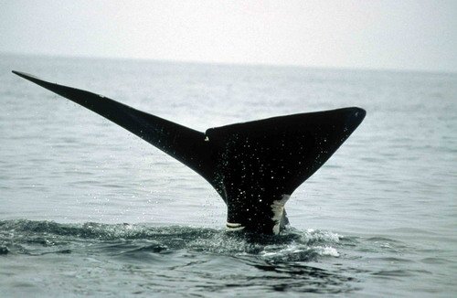 image nrw_twalmsley-jpg