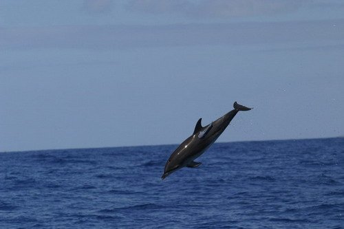 image asd_bbrederlau1-jpg