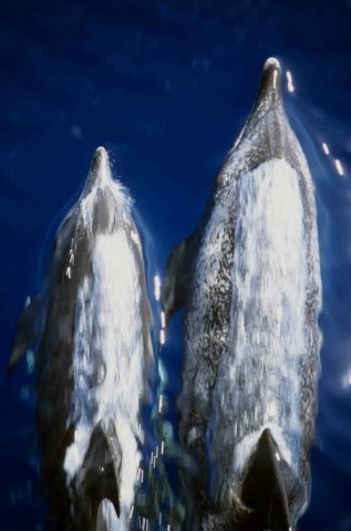 image asd_mbaines4b-jpg