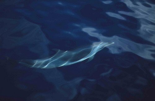 image asd_pghevans2a-jpg