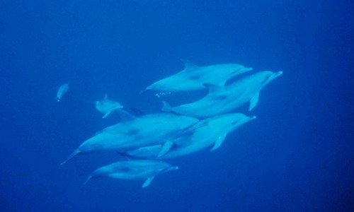 image asd_thenningsen1b-jpg