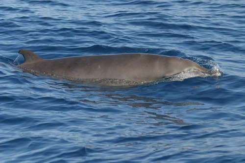 image blbw_bbrederlau3-jpg