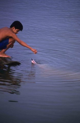 image bo_ftrujillo4-jpg