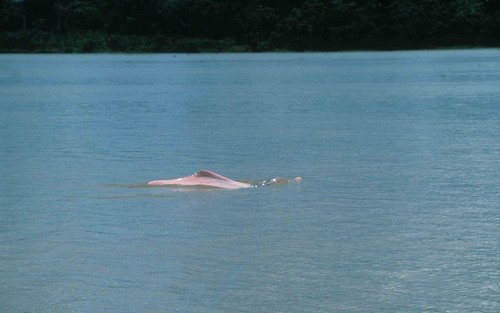 image bo_thenningsen1-jpg