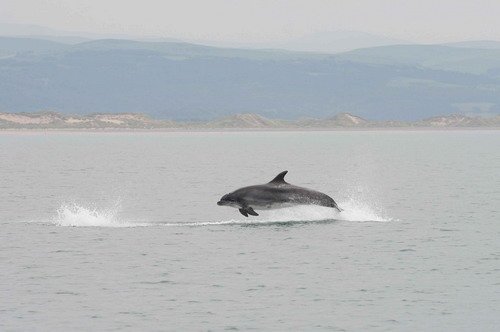 image bnd_dfeingold_018a-jpg