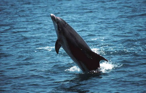 BND EJlewis3 image bnd_ejlewis3-jpg