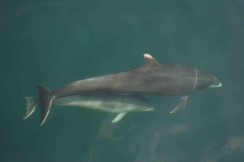 BND GPesante13 image bnd_gpesante13-jpg