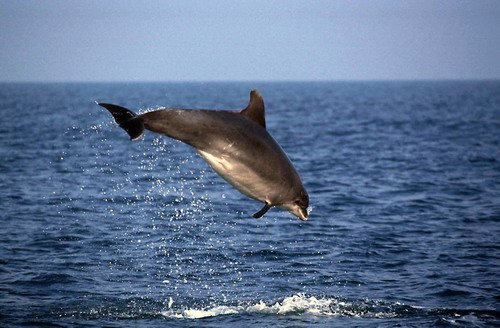 BND MBaines14 image bnd_mbaines14-jpg