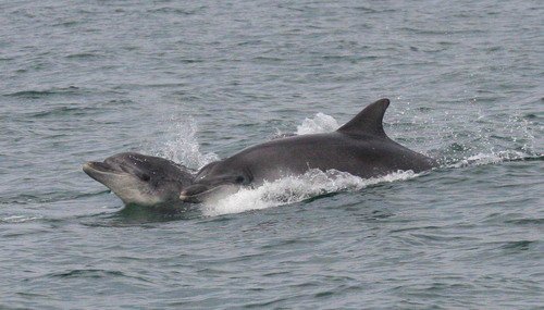 BND PAnderwald4269a image bnd_panderwald4269a-jpg