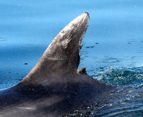 BND PAnderwald8754a image bnd_panderwald8754a-jpg