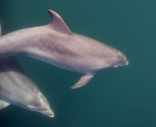 BND PAnderwald9013a image bnd_panderwald9013a-jpg