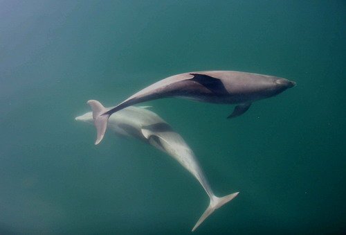 BND PAnderwald9016a image bnd_panderwald9016a-jpg