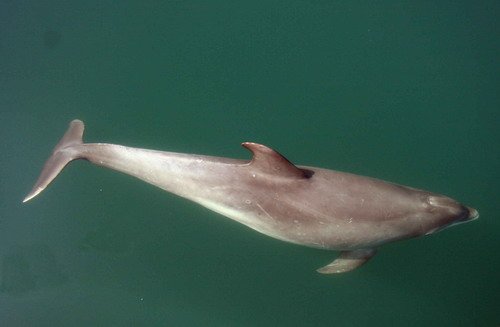 BND PAnderwald9017a image bnd_panderwald9017a-jpg