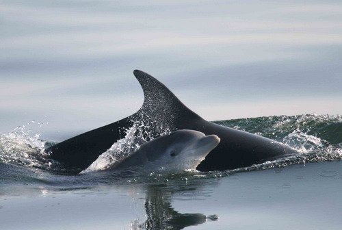 BND PAnderwald9788 image bnd_panderwald9788-jpg