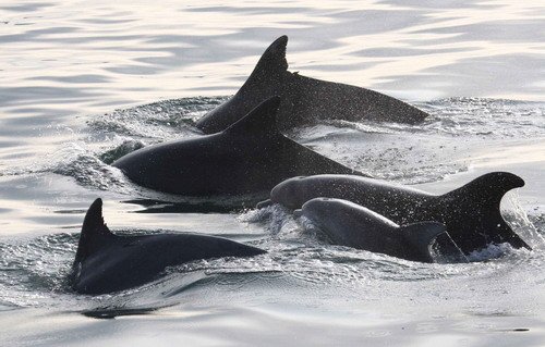 BND PAnderwald9928a image bnd_panderwald9928a-jpg