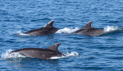 BND PGHEvans0211d image bnd_pghevans0211d-jpg