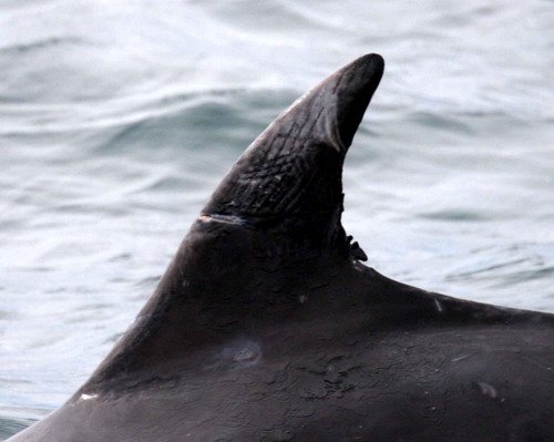 BND PGHEvans1026a image bnd_pghevans1026a-jpg