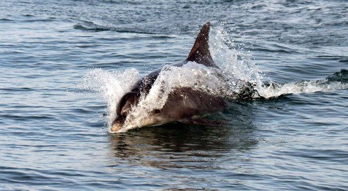 BND PGHEvans1041b image bnd_pghevans1041b-jpg