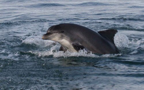 BND PGHEvans1081b image bnd_pghevans1081b-jpg