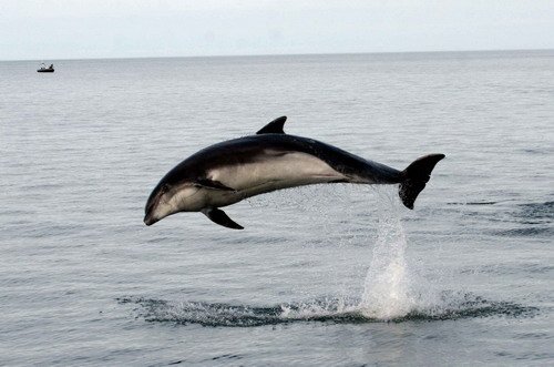 BND PGHEvans1136a image bnd_pghevans1136a-jpg