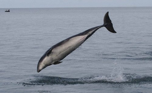 BND PGHEvans1137 image bnd_pghevans1137-jpg