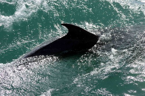 BND PGHEvans1324 image bnd_pghevans1324-jpg