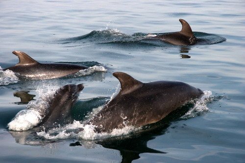 BND PGHEvans1448a image bnd_pghevans1448a-jpg