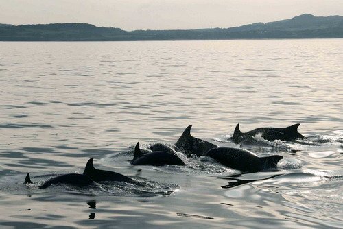 BND PGHEvans1609 image bnd_pghevans1609-jpg