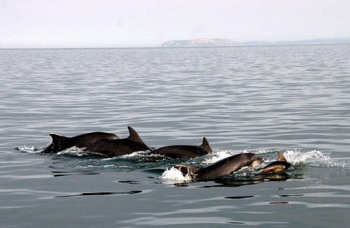 BND PGHEvans1677a image bnd_pghevans1677a-jpg