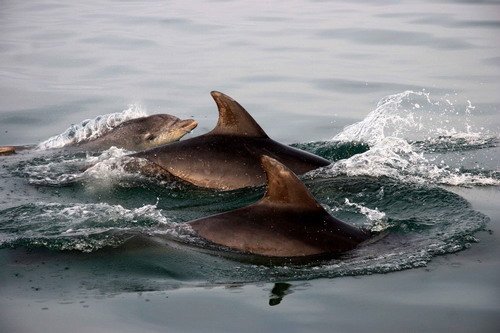 BND PGHEvans1812a image bnd_pghevans1812a-jpg