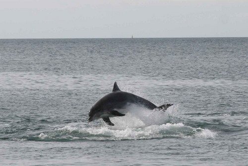 BND PGHEvans1859a image bnd_pghevans1859a-jpg