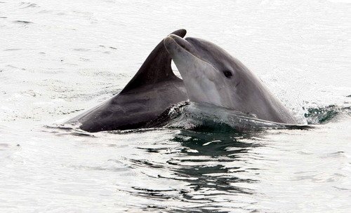 BND PGHEvans2456a image bnd_pghevans2456a-jpg