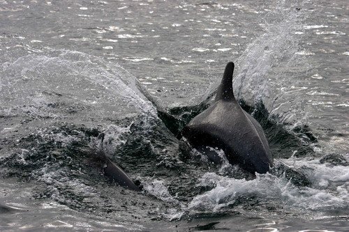 BND PGHEvans2540a image bnd_pghevans2540a-jpg