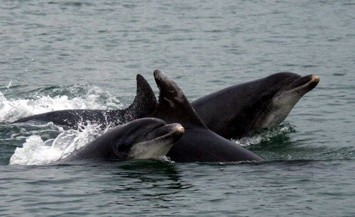 BND PGHEvans2804b image bnd_pghevans2804b-jpg