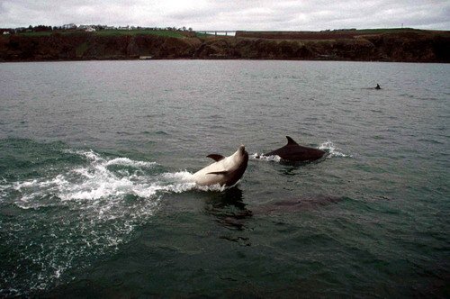 BND PGHEvans2b image bnd_pghevans2b-jpg