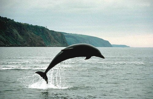 BND PGHEvans34 image bnd_pghevans34-jpg