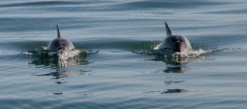 BND PGHEvans4656 image bnd_pghevans4656-jpg