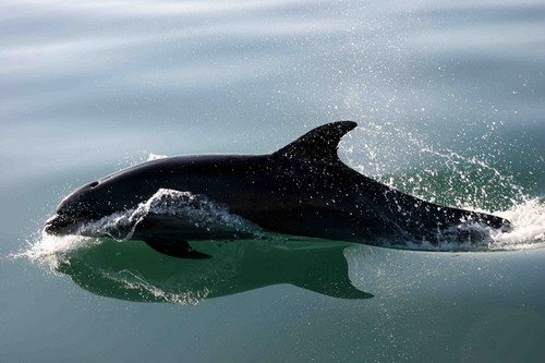 BND PGHEvans4769 image bnd_pghevans4769-jpg