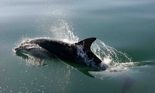 BND PGHEvans4771 image bnd_pghevans4771-jpg