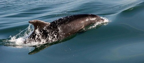 BND PGHEvans4790 image bnd_pghevans4790-jpg