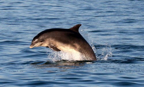 BND PGHEvans5338b image bnd_pghevans5338b-jpg