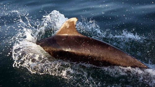 BND PGHEvans5397 image bnd_pghevans5397-jpg