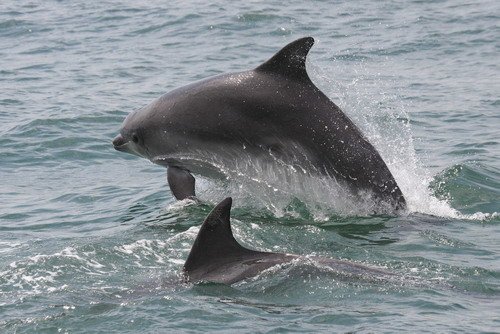 BND PGHEvans6705 image bnd_pghevans6705-jpg