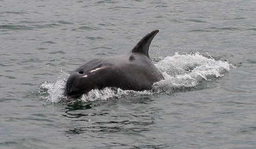 BND PGHEvans6895 image bnd_pghevans6895-jpg