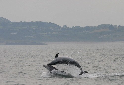 BND PGHEvans6908 image bnd_pghevans6908-jpg