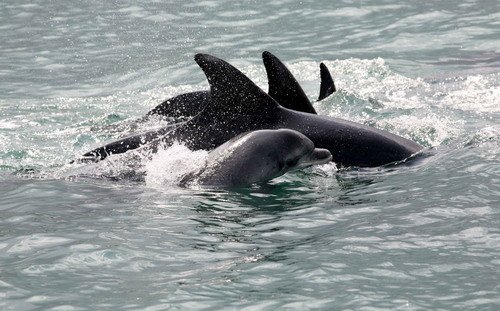 BND SBebb 127a image bnd_sbebb_127a-jpg