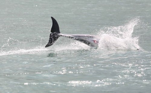 BND SBebb 154a image bnd_sbebb_154a-jpg