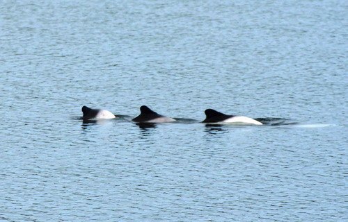 image comsd_lkyhn1a-jpg