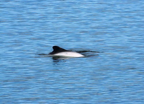 image comsd_lkyhn2a-jpg